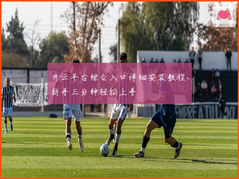 开云平台综合入口详细安装教程，新手三分钟轻松上手